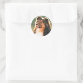 Sheltie Sticker (Tasche)