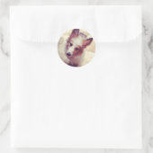 Sheltie Stickers (Tasche)