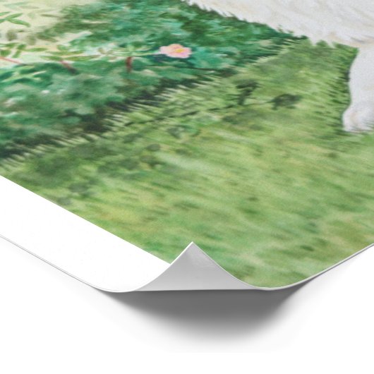 Sheltie Summer Poster (Ecke)