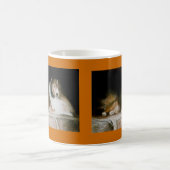 Sheltie Tasse (Mittel)