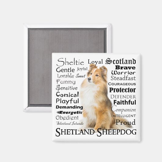 Sheltie Traits Magnet (Vorderseite/Rückseite)