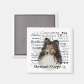 Sheltie Traits Magnet (Vorderseite/Rückseite)