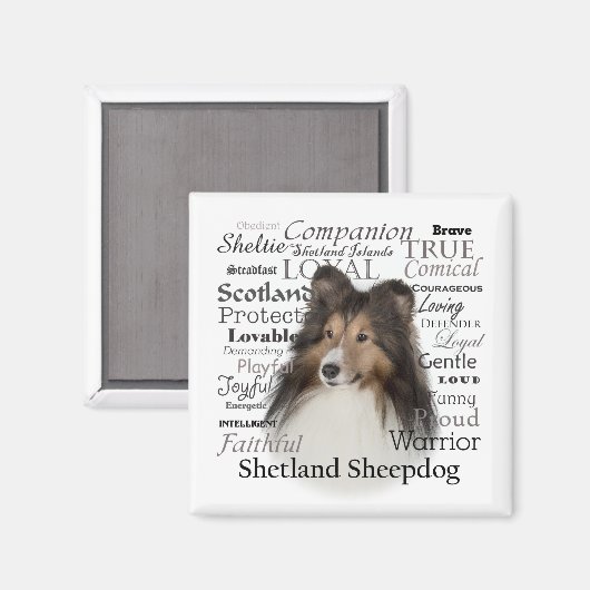 Sheltie Traits Magnet (Vorderseite/Rückseite)