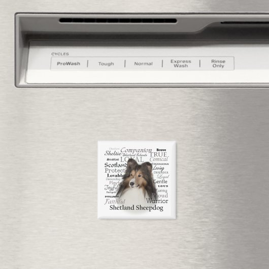 Sheltie Traits Magnet (In Situ (Geschirrspüler))