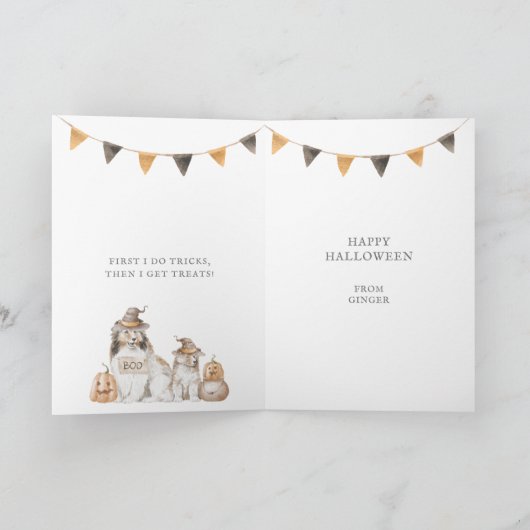 Sheltie Trick oder Treat Halloween Karte (Innenseite)