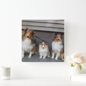 Sheltie Trio Wall Clokd Quadratische Wanduhr (Zuhause)