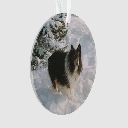 Sheltie und Husky-Spaß im Schnee Ornament (Vorderseite)