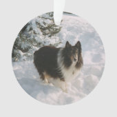 Sheltie und Husky-Spaß im Schnee Ornament (Vorderseite)