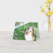 Sheltie und Tulpe-Anmerkungs-Karte Karte (Gelbe Blume)