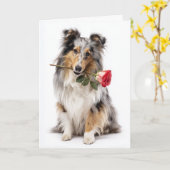 Sheltie Valentine Karte (Gelbe Blume)