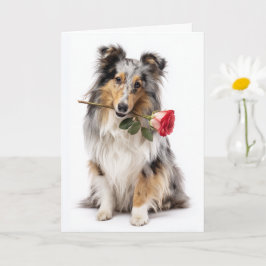 Sheltie Valentine Karte