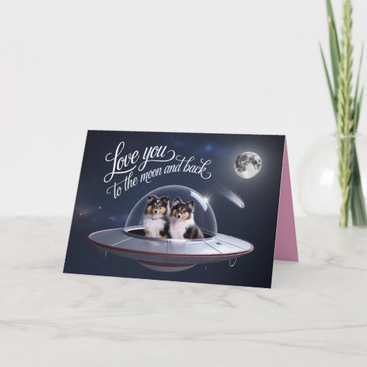 Sheltie Valentinstagskarte Karte (Vorderseite)