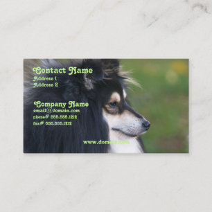 Sheltie Visitenkarte