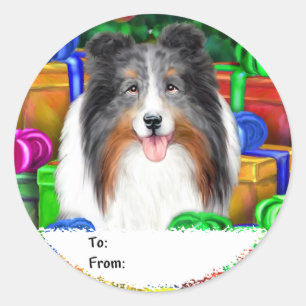 Sheltie Weihnachten Open Geschenke Blue Merle Gesc Runder Aufkleber