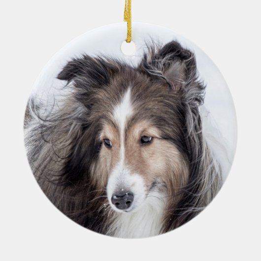 Sheltie Weihnachtsschmuck (Hinten)