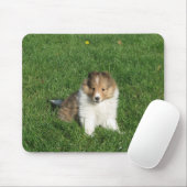 Sheltie Welpe in Gras mousepad (Mit Mouse)