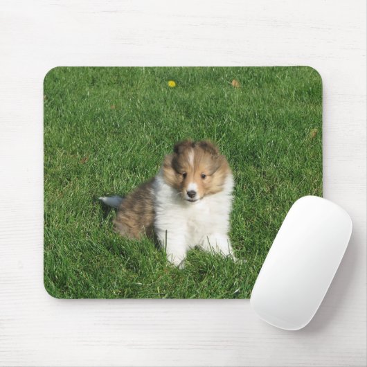 Sheltie Welpe in Gras mousepad (Mit Mouse)