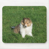 Sheltie Welpe in Gras mousepad (Vorne)