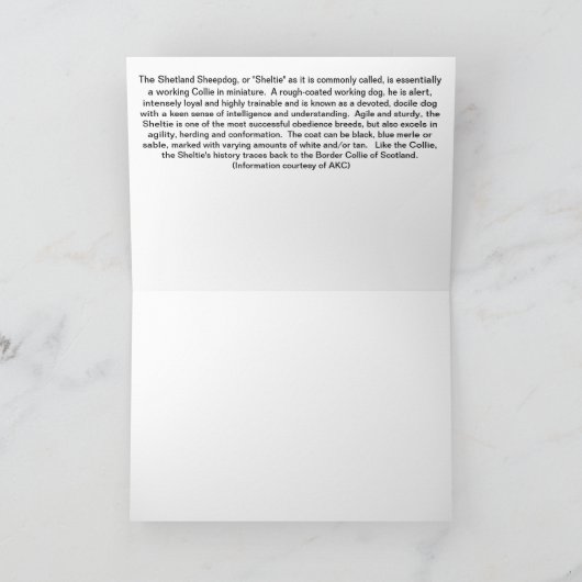 Sheltie Welpe Karte (Innenseite)