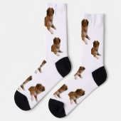 Sheltie-Welpe Socken (Linkes Detail)