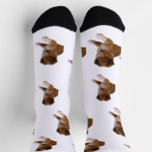 Sheltie-Welpe Socken (Oben)