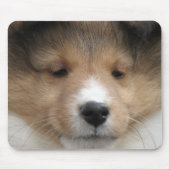 Sheltie Welpengesicht Mousepad (Vorne)