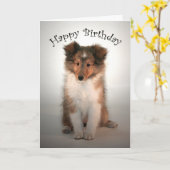 Sheltie Welppy Birthday Card Karte (Gelbe Blume)