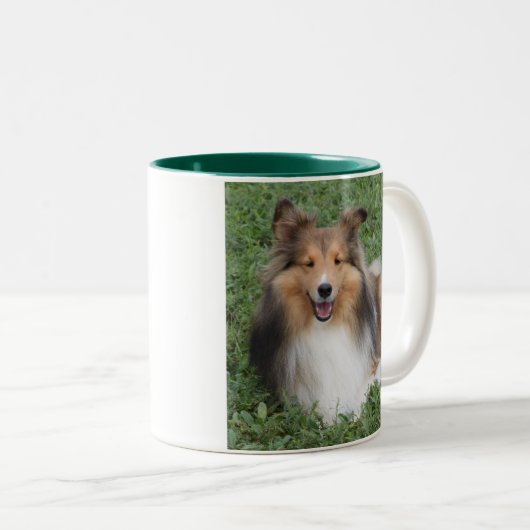 SHELTIE ZWEIFARBIGE TASSE (VorderseiteRechts)