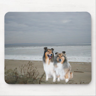 Shelties auf dem Strand Mousepad