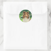 Shelties Lead #2 Stickers (Tasche)