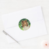 Shelties Lead #2 Stickers (Umschlag)