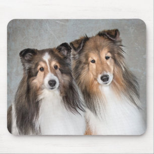 Shelties Mousepad
