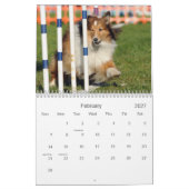 Shelties u. spinnt Agility-Kalender Kalender (Feb 2027)