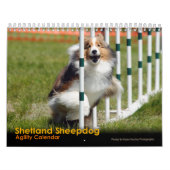 Shelties u. spinnt Agility-Kalender Kalender (Titelbild)