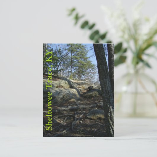 Sheltowee Trace KY Postkarte (Stehend Vorderseite)