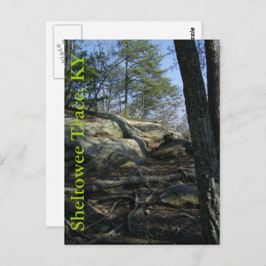 Sheltowee Trace KY Postkarte (Vorne/Hinten)