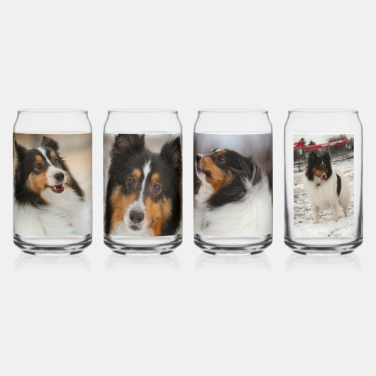 Shelty Dosenglas (Hinten)