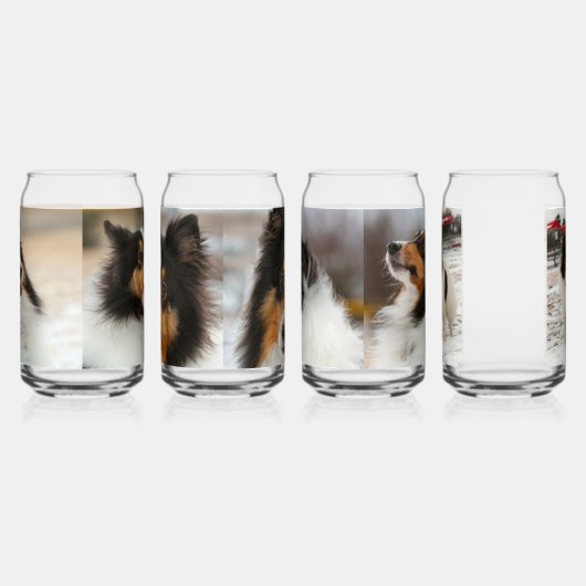 Shelty Dosenglas (Links)