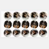 Shelty Etiketten (Blatt)