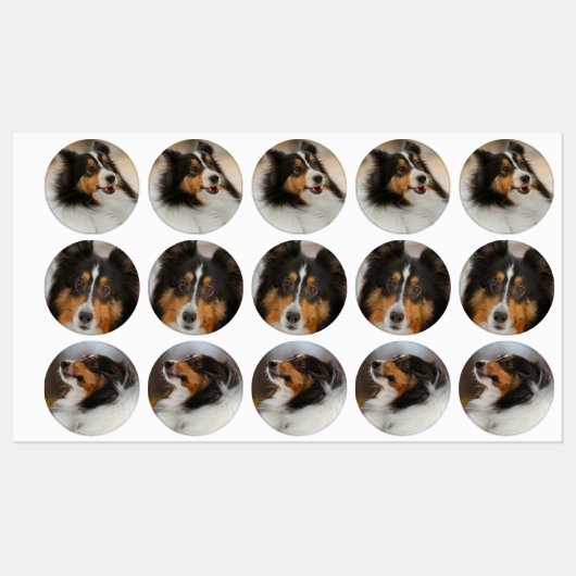 Shelty Etiketten (Blatt)