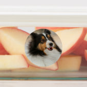 Shelty Etiketten (Befestigt)