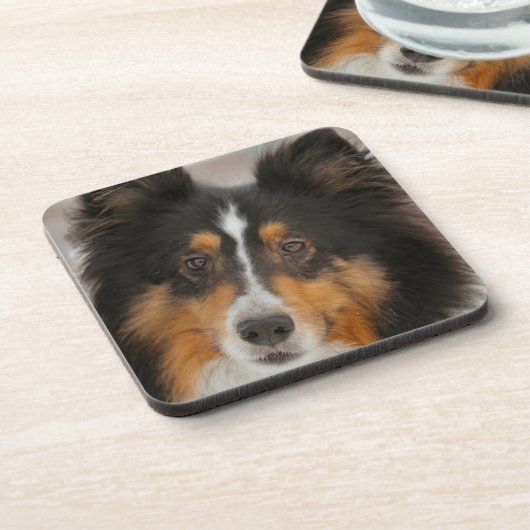 Shelty Getränkeuntersetzer (Linke Seite)