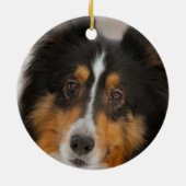 Shelty Keramik Ornament (Hinten)