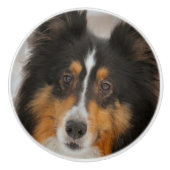 Shelty Keramikknauf (Vorderseite)