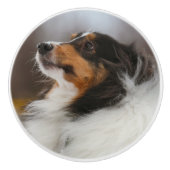 Shelty Keramikknauf (Vorderseite)