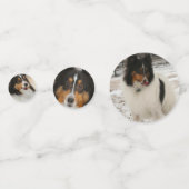Shelty Konfetti (Rückseiten)