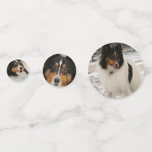 Shelty Konfetti (Rückseiten)