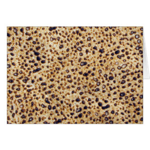 Shemura Matzah-Gramm