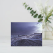 Shemya Island North Beach Postkarte (Stehend Vorderseite)