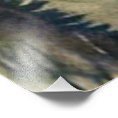 Shenandoah National Park Skyline fahren Wasserfarb Fotodruck (Ecke)